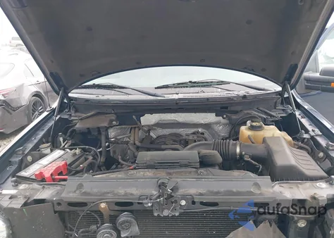 2011 Ford F-150 Xlt z USA, uszkodzony, nr VIN 1FTFX1EF9BFD19065